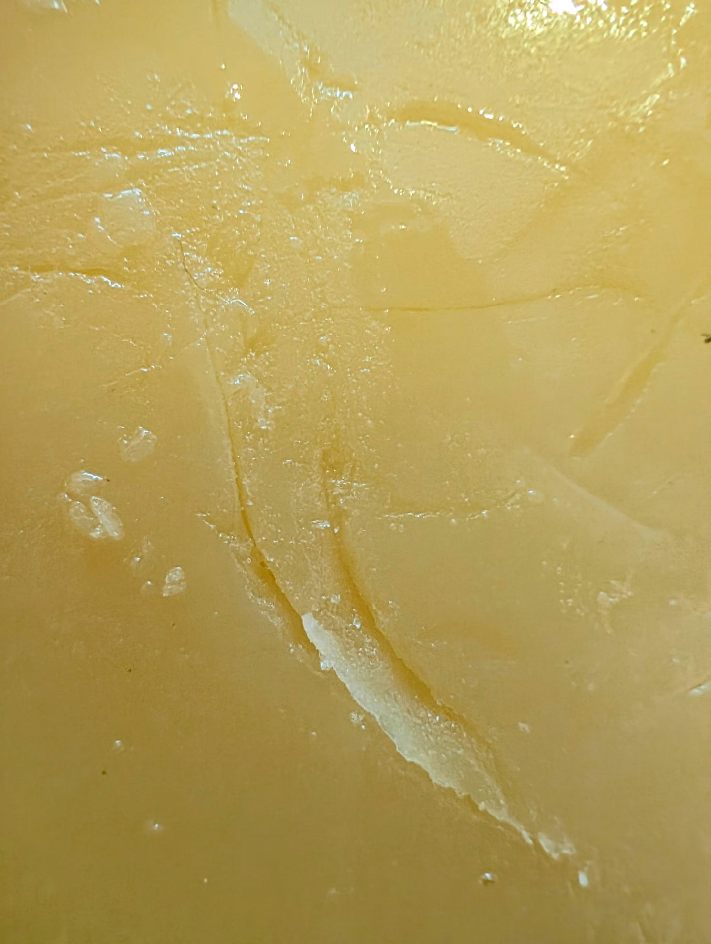 Baby Gouda Natural