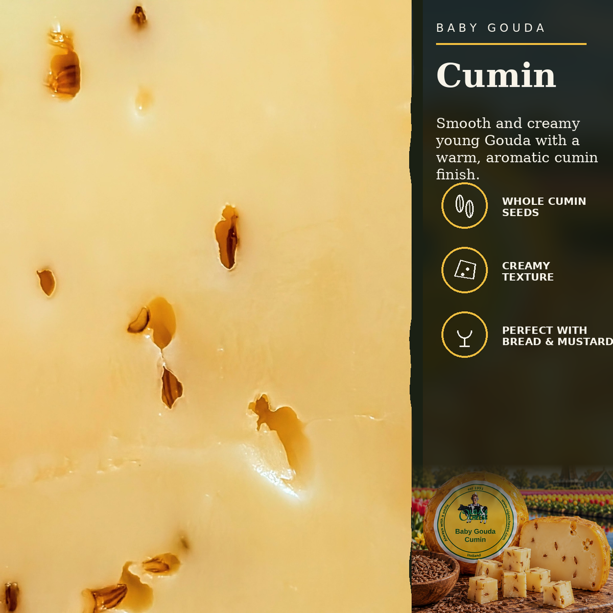 Baby Gouda Cumin taste and texture card with whole cumin seeds, creamy texture and pairing notes
