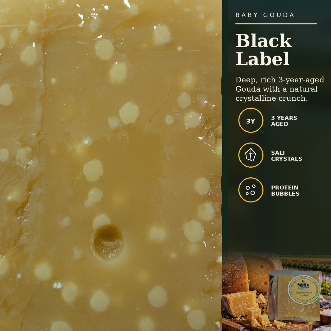 Black Label Gouda taste and texture card with 3 years aged, salt crystals and protein bubbles