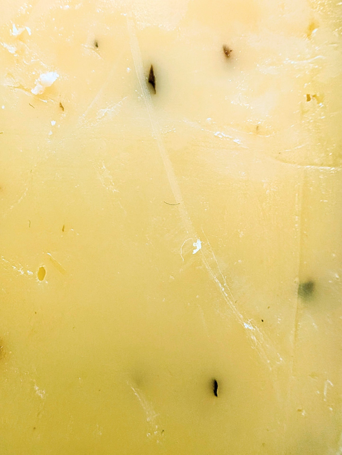 Truffle