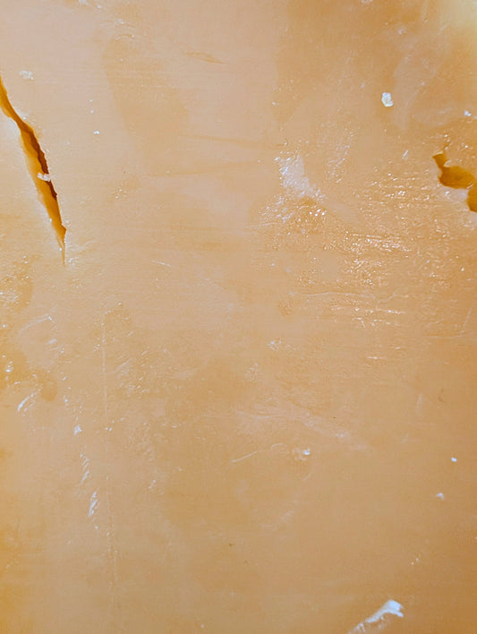 Old Edam texture close-up
