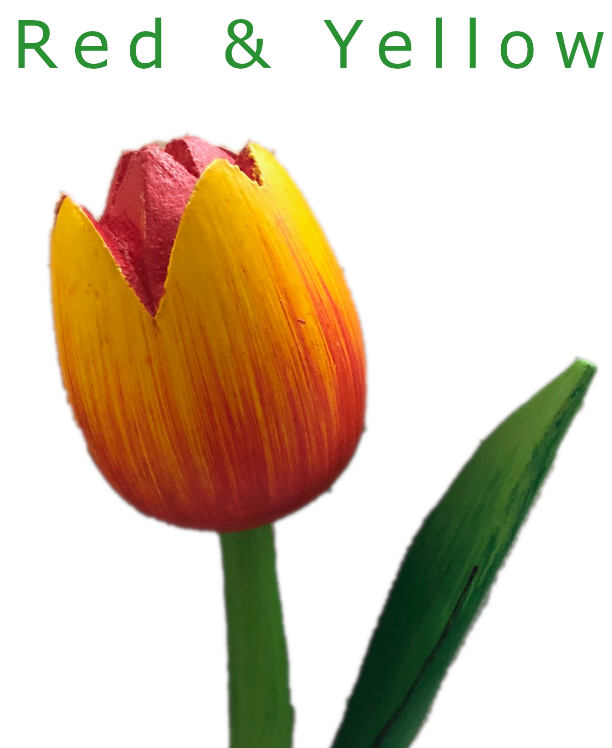 Decorative Tulips