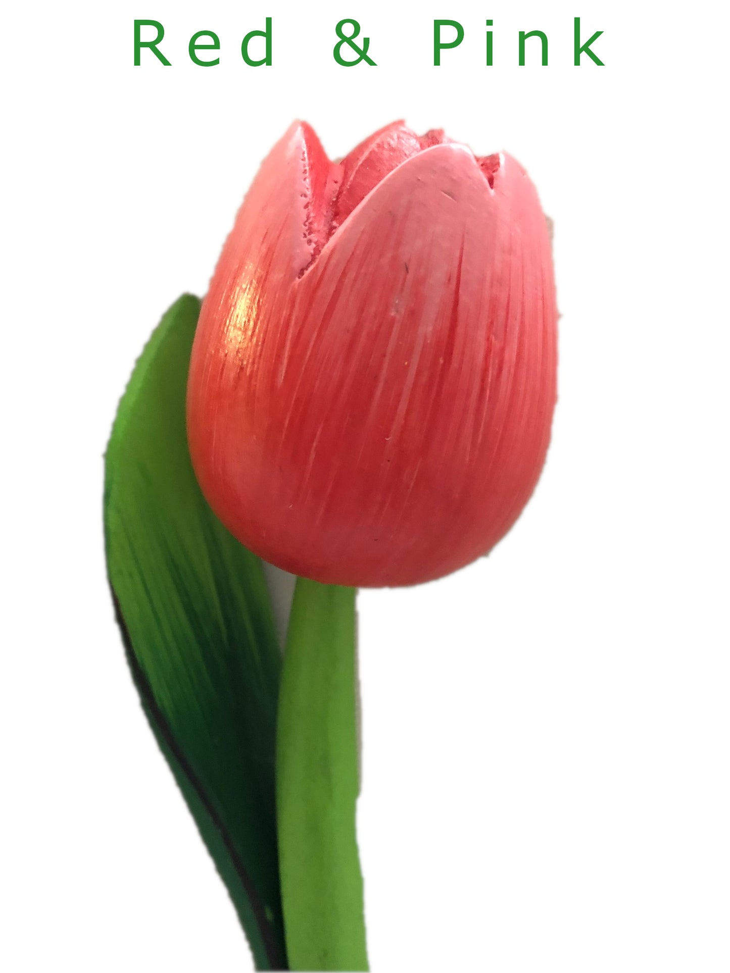 Decorative Tulips