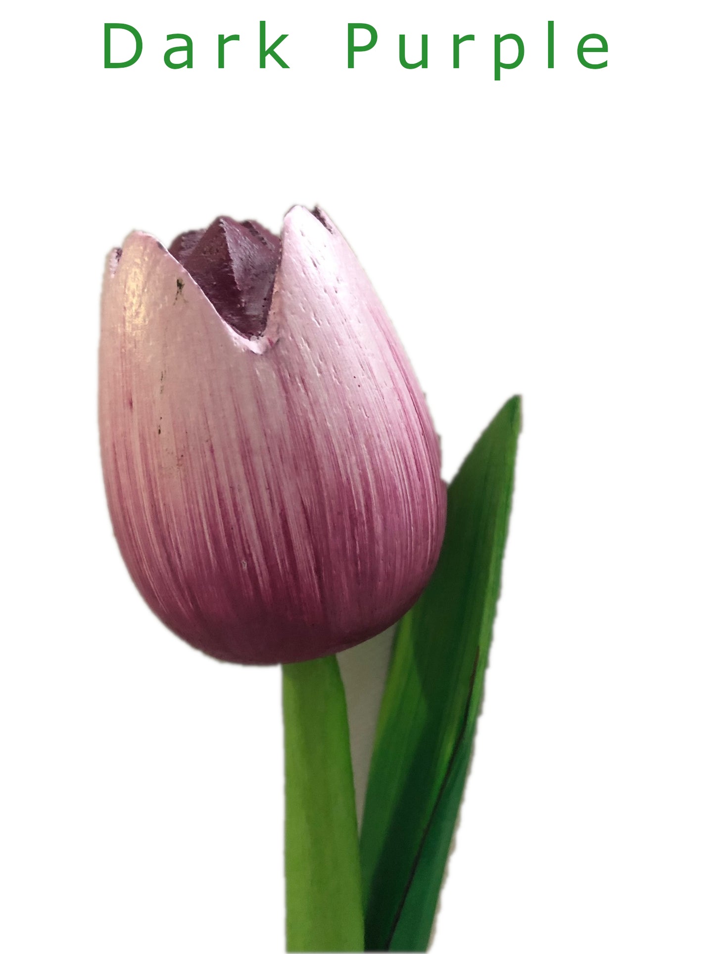 Decorative Tulips