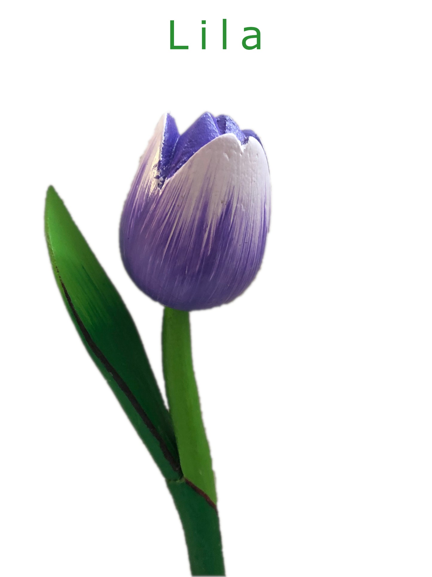 Decorative Tulips