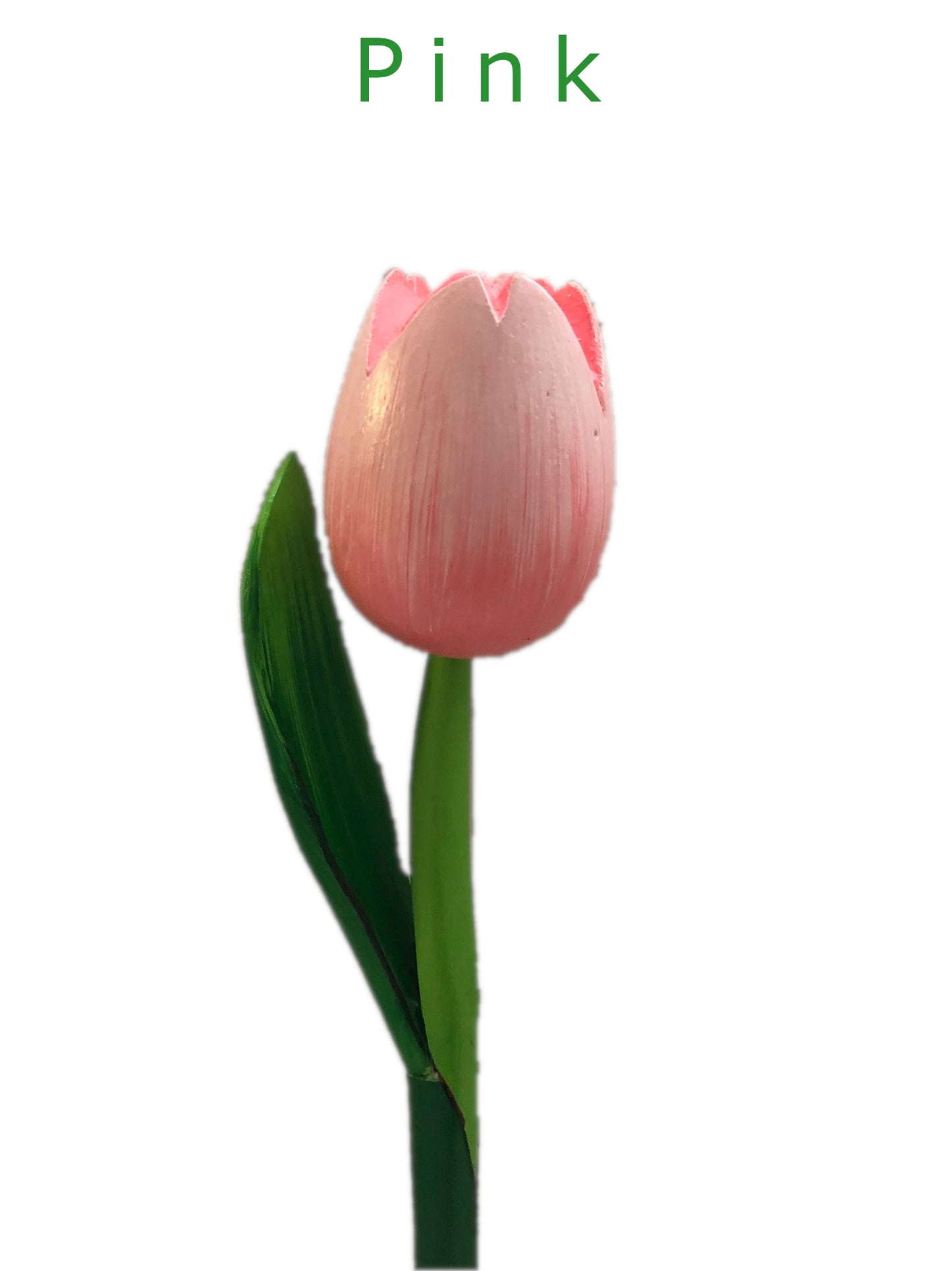 Decorative Tulips